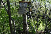 11 Curioso barometro a corda, appeso ad un albero